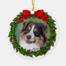 Recherche de aussies ornements Dogs