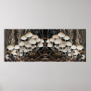Zoek naar paddestoelen posters Bos