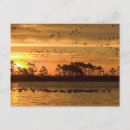 Recherche de chincoteague Coucher de soleil