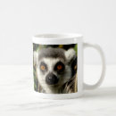 Recherche de lemur tasses Mignon