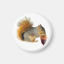Recherche de noisettes magnets Écureuil