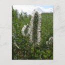 Zoek naar burnet posters Landschap