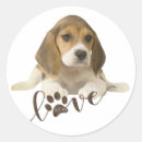 Recherche de beagles autocollants Animal