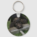 Zoek naar labradoodle sleutelhangers Puppy