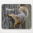 Recherche de écureuil gris tapis souris Faune