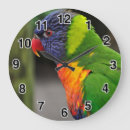 Recherche de perroquet rouge horloges Coloré