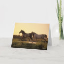 Recherche de ensemble du soleil vœux cartes Chevaux