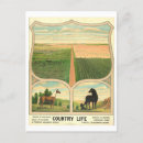 Recherche de agriculture cartes postales Agriculteur