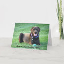 Recherche de labrador retriever vœux cartes Salutation