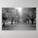 Zoek naar landelijke posters Foto's