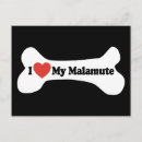 Recherche de malamute cartes postales Dog