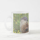 Recherche de marmottes tasses Mammifère