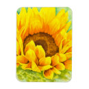Recherche de tournesol magnets Peinture