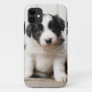 Recherche de de border collie iphone coques Chiot
