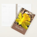 Recherche de jonquille bureau fournitures Printemps
