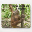 Recherche de citations célèbres tapis souris Pour tous