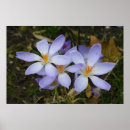 Recherche de fièvre art Automne