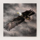 Recherche de aigle chauve américain puzzles Oiseau