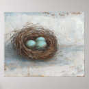 Recherche de oiseau nid posters Animaux