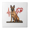 Recherche de chien de berger carreaux Chiot