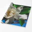 Recherche de magnolia papier cadeau Anniversaire