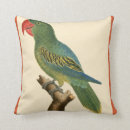 Recherche de perroquet tropical coussins Oiseaux