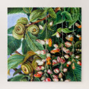 Zoek naar plantkundige puzzels Planten