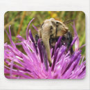 Zoek naar grappige olifanten muismatten Dier