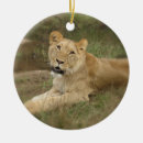 Recherche de roi lion ornements Animal