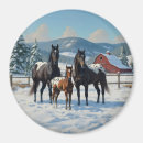 Recherche de grange magnets Chevaux