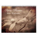 Recherche de fleurs calendriers Mother