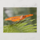 Recherche de julia cartes postales Papillon