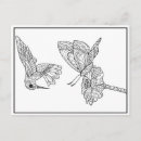 Recherche de de colibri cartes postales Nectar