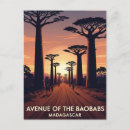 Recherche de baobab cartes postales Arbre
