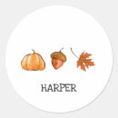 Zoek naar eikels de stickers Oranje