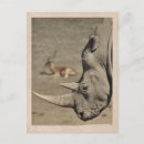 Recherche de rhinocéros cartes postales Vintage