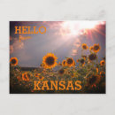 Recherche de salutations kansas cartes postales Fleur