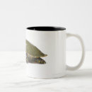 Recherche de coquille tortue tasses Animaux
