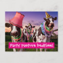 Recherche de humour vache invitations Idiot