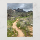 Recherche de état de nature Cactus