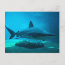 Recherche de image dange cartes postales Horizontal