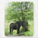 Zoek naar zwart paard muismatten Merrie