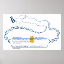 Recherche de rna posters Transcription