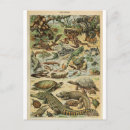 Recherche de reptiles cartes postales Nature
