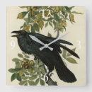 Zoek naar raven klokken Illustratie