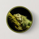 Recherche de iguane badges Lézard