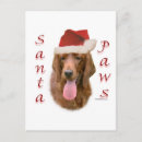 Recherche de irlandais noël cartes Chien