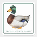 Recherche de chasseur de canard autocollants Mallalard