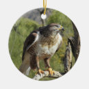 Zoek naar rode vogel ornamenten Mooi