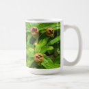 Recherche de médaille tasses Nature